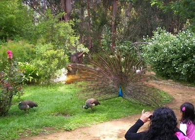 Photos of Ecoreserva "Los pavos reales"