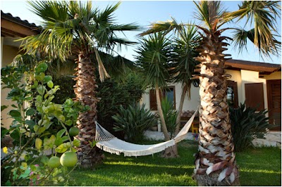 Photos of Parchi Dei Parrini