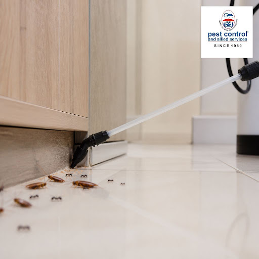 A clean-looking home is not always a healthy home. Cockroaches and ants can silently contaminate… post image
