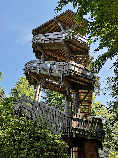Nationalparkzentrum Falkenstein - Thumbnail