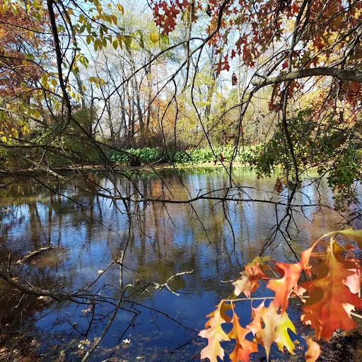 Cincinnati Nature Center - Thumbnail