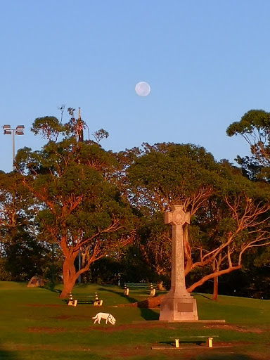 Rawson Oval - Thumbnail