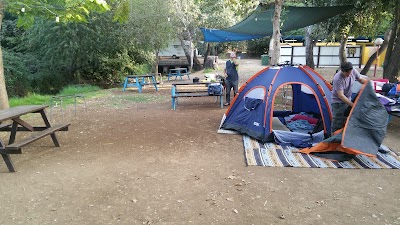 Photos of גינון דפנה