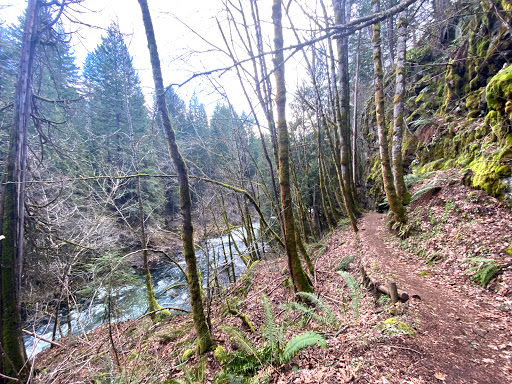 BZ Falls - Visual