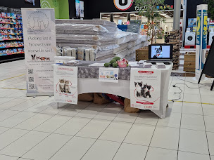 Photo n°2 de Les Petits compagnons d'Oméga à Voulmentin (Association pour la protection des animaux)