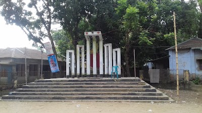 Photos of Sherpur Shahed Minar