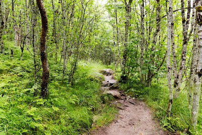 Photos of Husedalen Valley