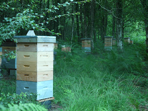 Photo n°5 de GAEC L' Abeille de Lanvaux à Saint-Jean-Brévelay (Ferme)