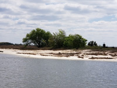 Biloxi Shrimping Trip