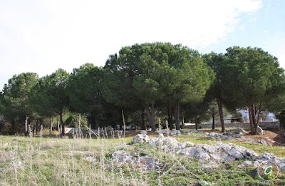 Photos of Ain Akrine Castle