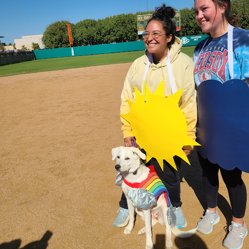 UTD Softball Field - Visual