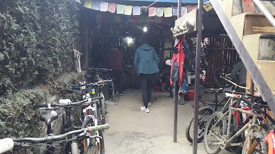 Photos of Saddle Bike Store