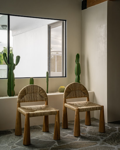 Stranded Salon - Visual