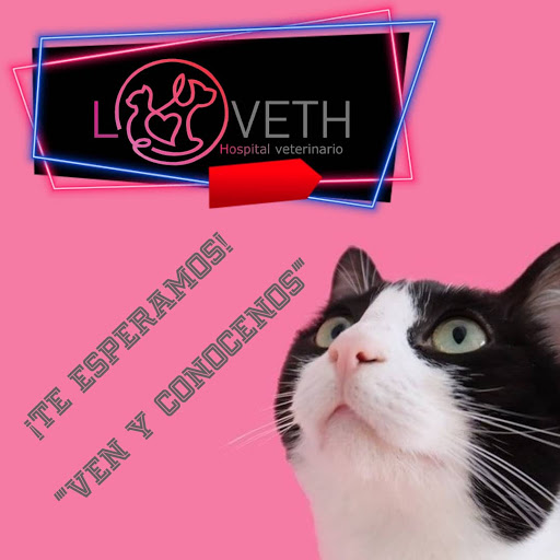 Loveth Hospital Veterinario