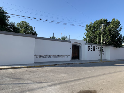Génesis Plus