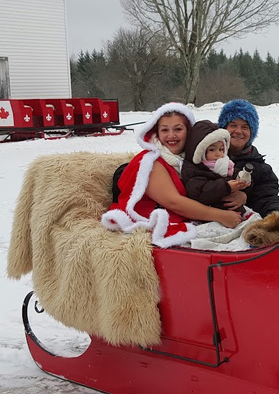 Photos of Maine Horse Drawn Services
