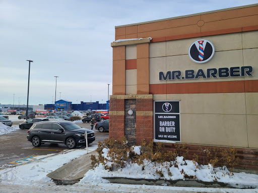 Mr. Barber Leduc - Visual