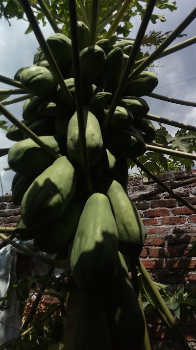 Photos of Cancha El Jard&iacute;n