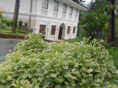 Photos of Deniyaya Central College