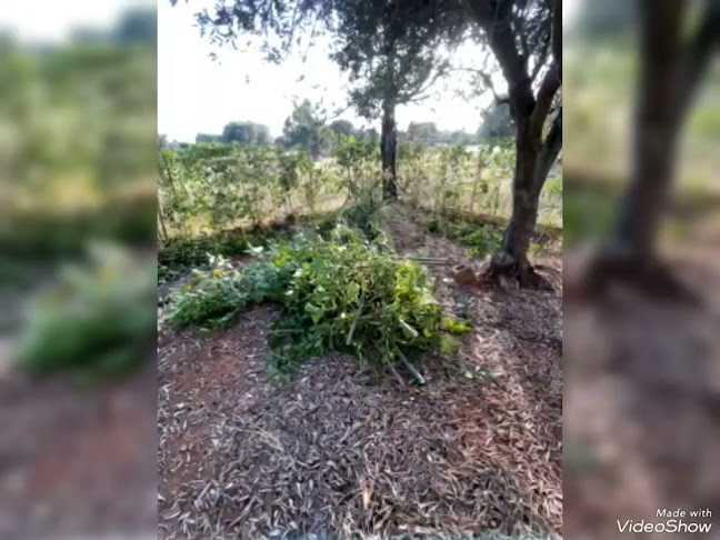 Κων/νου Καραμανλή, Αμάρυνθος 340 06