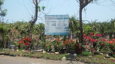 store