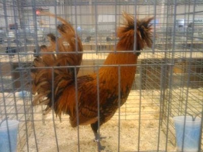 Photos of McNeil Veterinary Services