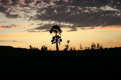 Photos of Palmwag Lodge and Campsite