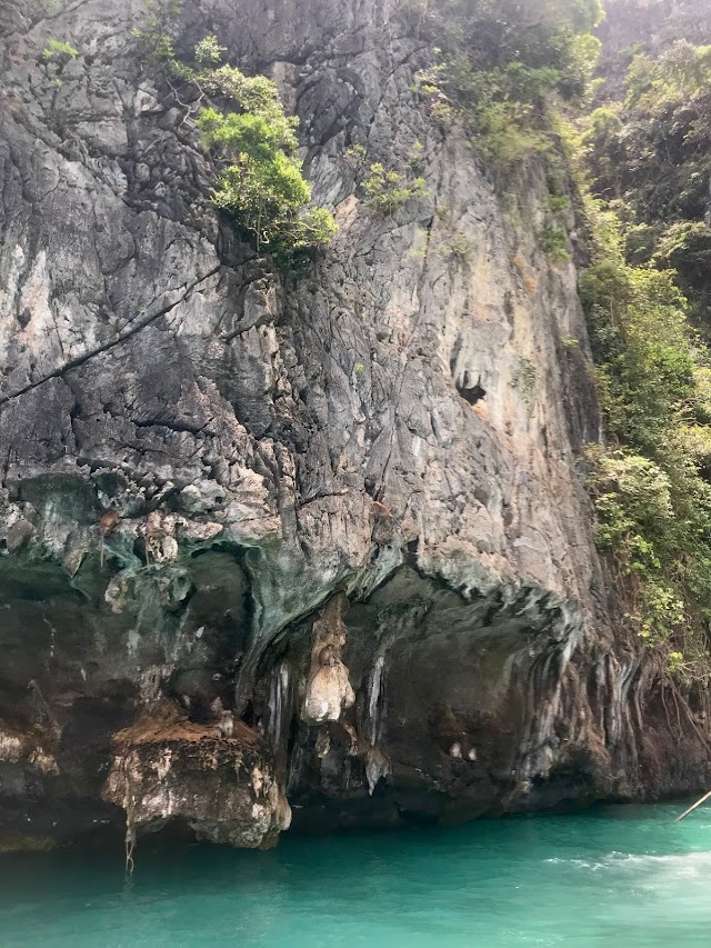 Monkey Beach