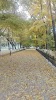 Фотография Городской Сервисно-торговый Комплекс, улица Ленина, Благовещенск, Россия