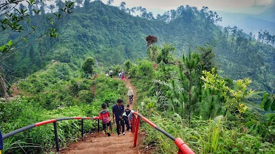 Photos of Bukit Mertelu