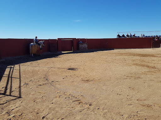 Ganadería Valdenuño. Gallery - Spain