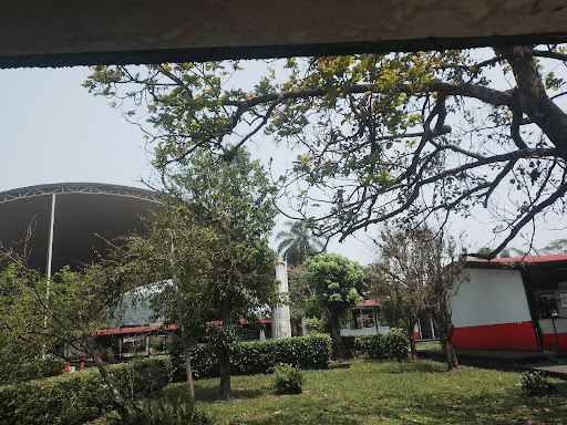Escuela Secundaria General Cuautlapan - Thumbnail
