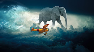 Photo n°1 de PIXELIKA à Quincy-sous-Sénart (Entreprise de logiciels)