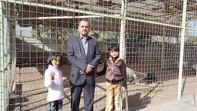 Photos of Nursery sponsor