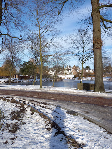 Stadspark - Visual