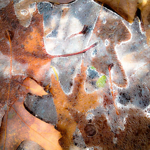 Crede Calhoun Photography - Thumbnail