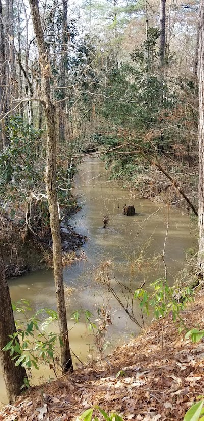 Kisatchie Hills Wilderness