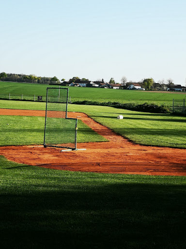 Baseballverein Erding Mallards e.V. - Thumbnail