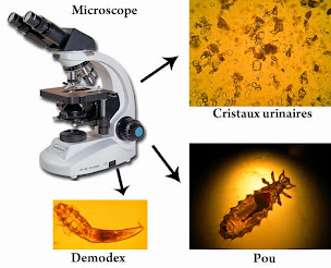 Photo n°23 de Clinique vétérinaire l'Arche de Venoix à CAEN à Caen (Vétérinaire)