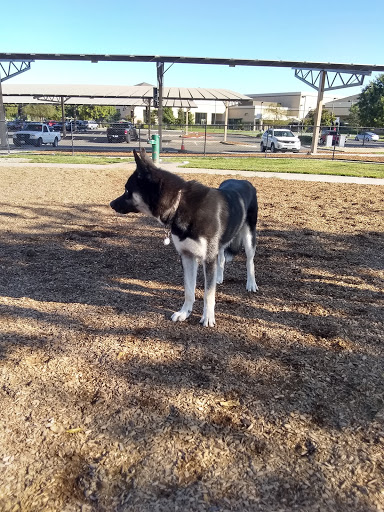 Woodland Off Leash Dog Park - Thumbnail