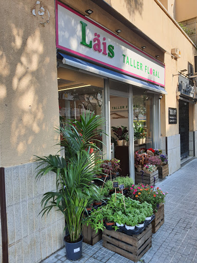 Läis Taller Floral
