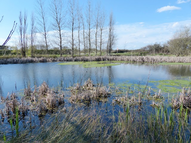 Plage de Kerhillio