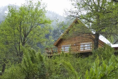 Photos of Chile Wild - Las Vertientes de Malalcahuello