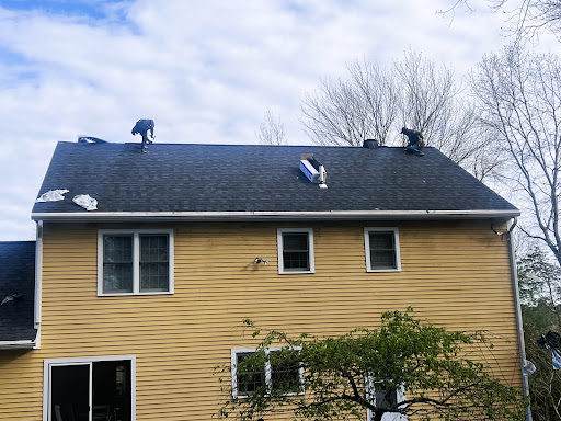 Alternative Home Solutions - Thumbnail