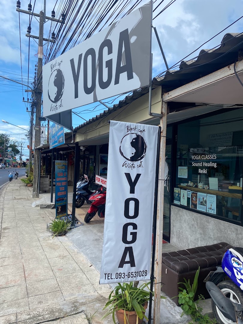 Yoga Black Cat & White Cat