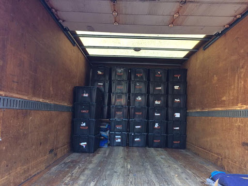 Zebna Movers - Thumbnail