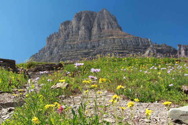 Parc national de Glacier