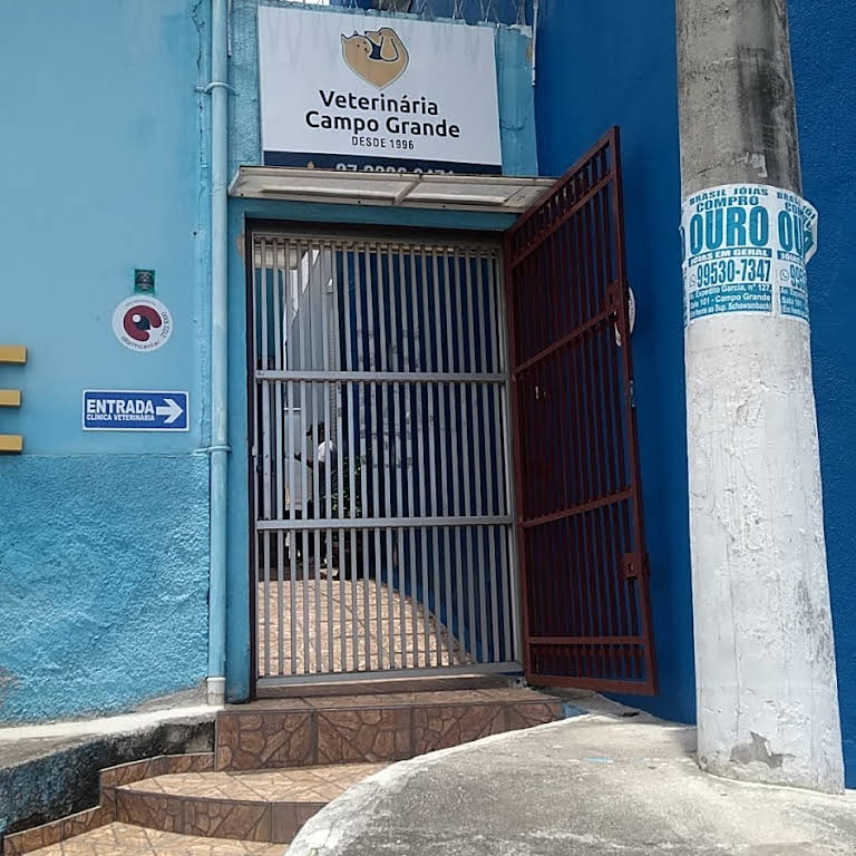 Clínica Veterinária Perto de Mim Endereço Ch Elísios Campos