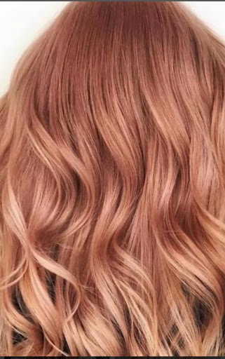 Hair Discovery Professional - Thumbnail
