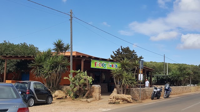 Ficodindia